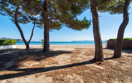 a group of trees on a beach with the ocean at Es Baladre Beach in Alcudia
