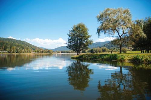 a river with trees and mountains in the background at Camping Base de Loisirs du Lac de la Moselotte in Saulxures-sur-Moselotte