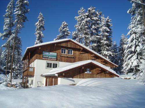 a log cabin in the snow with trees at Alpenglow Bed and Breakfast in Kimberley