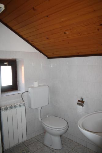 a bathroom with a white toilet and a sink at Penzion Sinji vrh in Zoll