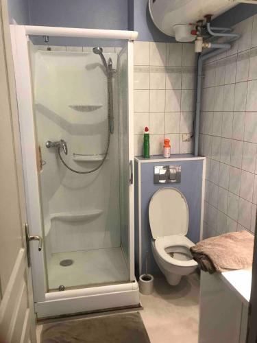 Appartement hyper centre في رانس: حمام صغير مع مرحاض ودش