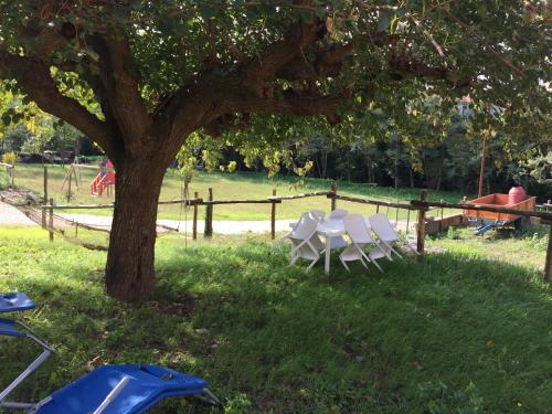 a group of chairs under a tree in the grass at Locanda Marzi in Faicchio