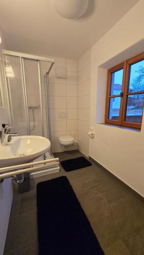a bathroom with a sink and a toilet and a window at Wirt zSeifriedswörth in Wurmsham