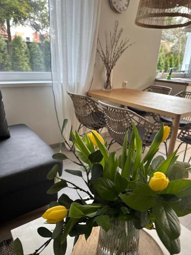 Apartamenty Marszallówka