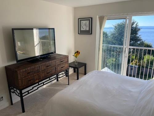 a bedroom with a television on a dresser with a window at Redcliffe View - Shared Homestay with Resident Show Dogs in Portishead