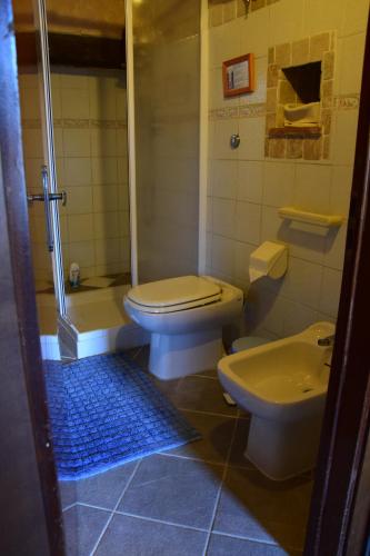 a bathroom with a shower and a toilet and a sink at Appartamento Crete Senesi in Castelnuovo Berardenga