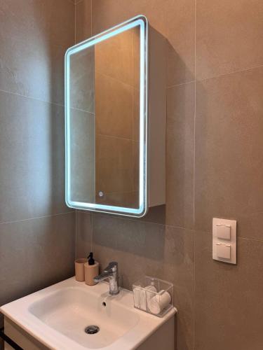 a bathroom with a sink and a mirror at comfortable apartment in Vancouver