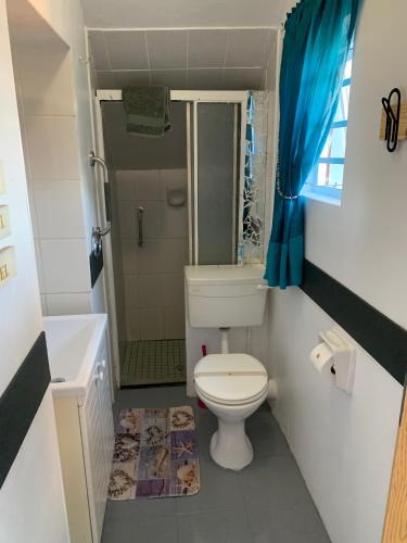 a small bathroom with a toilet and a shower at Rusibiki in Gqeberha