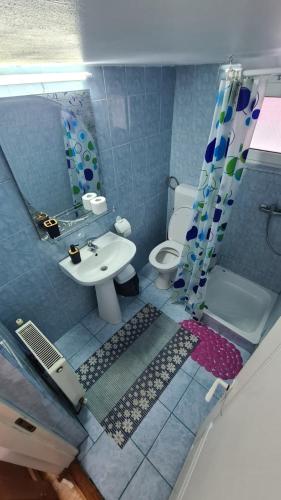 a bathroom with a sink and a toilet and a shower at Casa Andrei in Slănic-Moldova