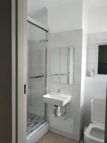 a bathroom with a sink and a shower and a toilet at Concord Christian Guesthouse in Durban