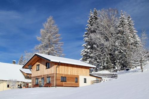 a wooden house in the snow with trees at Chalet Langhans in Kamperkogel