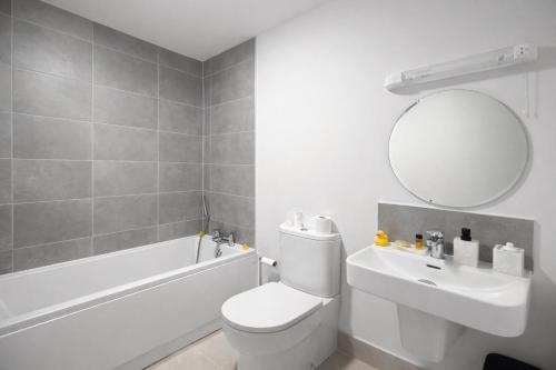 a bathroom with a toilet and a sink and a mirror at The Dene Homestay in Drogheda