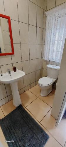 a bathroom with a toilet and a sink and a mirror at Karoo House Guesthouse in Somerset East