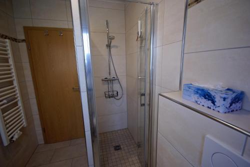 a shower with a glass door in a bathroom at Beilsteiner Ferienwohnungen in Beilstein