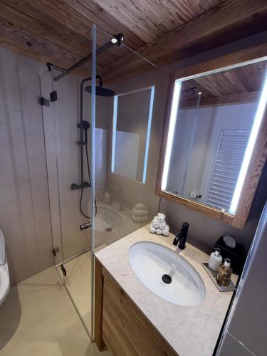 a bathroom with a sink and a shower at Petite Fraise in Gstaad