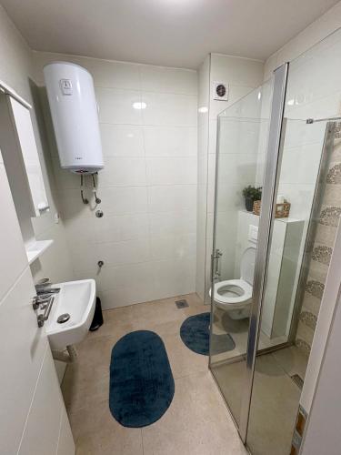a bathroom with a shower and a toilet and a sink at Apartman Matija in Pale