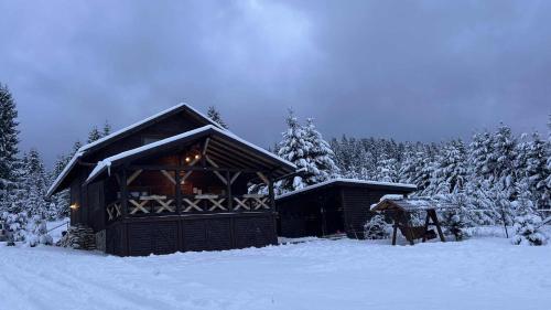 a log cabin in the snow with snow covered trees at Cabana Niki-Rum Haz in Bucsin