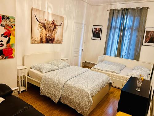 appartement spacieux en centre ville