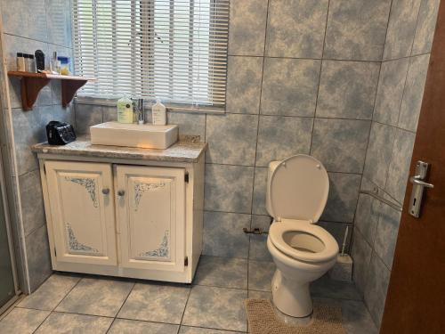 a bathroom with a toilet and a sink at No7 Mc Intyre Guest House in Sasolburg