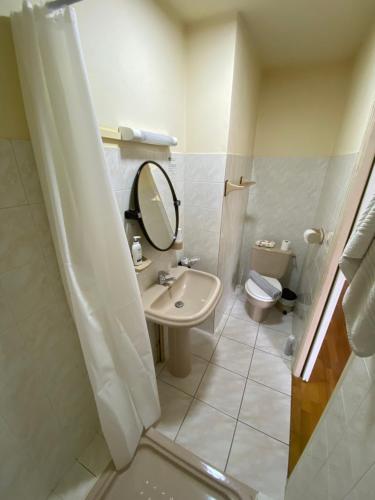 a bathroom with a sink and a toilet and a mirror at Gîte 4 Le Cerizay - proche du PuyduFou in Cerizay