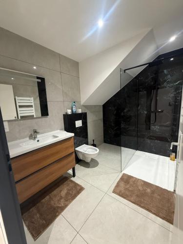 a bathroom with a sink and a shower and a toilet at Maison centre-ville in Dijon