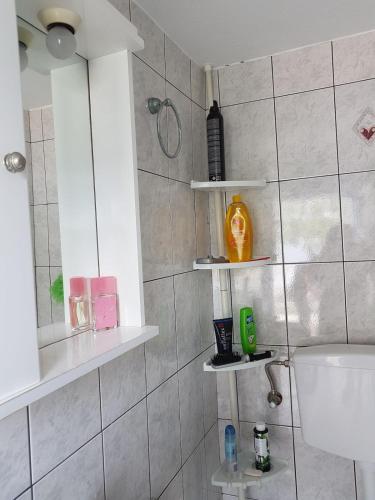 a bathroom with a shower with shelves on the wall at Dimitreli Beach House in Telendos