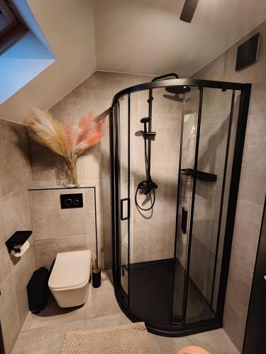 a bathroom with a shower and a toilet at Pienińskie Zacisze in Jaworki