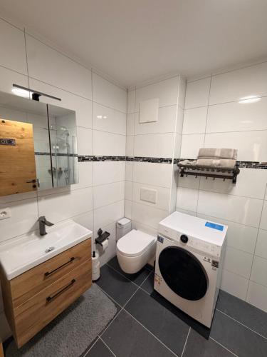 a bathroom with a washing machine and a toilet at Zum Löwen Apartments in Reutte