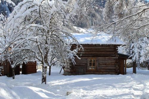 a log cabin in the snow with trees at Heidi Hütte in Döllach