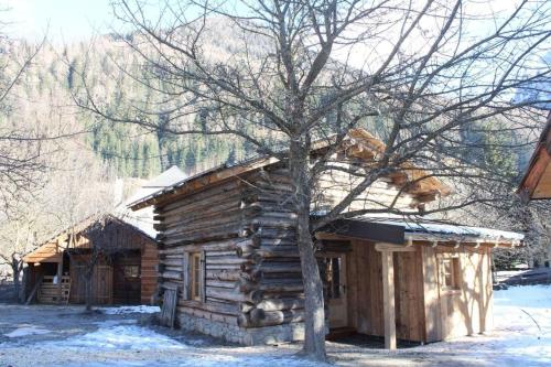 a log cabin with a tree in front of it at Heidi Hütte in Döllach