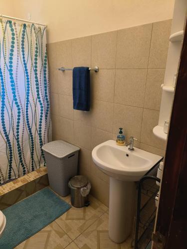 a bathroom with a sink and a shower curtain at Sea View Guest House Apt in Kingstown