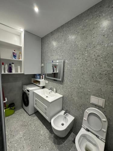 ein Badezimmer mit Toilette, Waschbecken und Waschmaschine in der Unterkunft Renas apartment 4 in Tirana