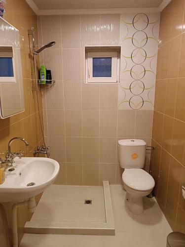 a bathroom with a toilet and a sink at Guest House Марковата Къща in Madzhare