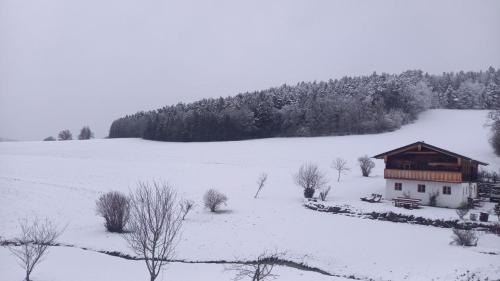 a house in a field with snow on the ground at Chalet Schmuckkastal in Kollnburg