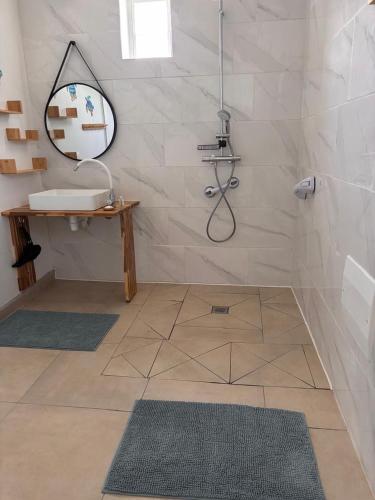 a bathroom with a shower with a sink and a mirror at Vanille-colibris Le Domaine Mannou in Sainte-Rose