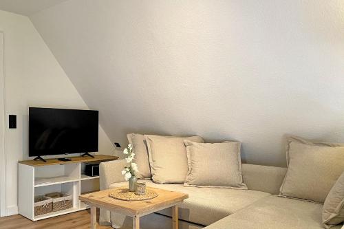 a living room with a couch and a tv at Ole in Borgsum in Borgsum