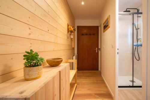 Sapi Cocon 4pax Centre Jardin Remontees TV Wifi