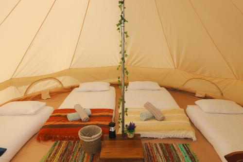 a couple of beds in a tent at Festival Glamping At The Drum - Glamping Village in Edinburgh