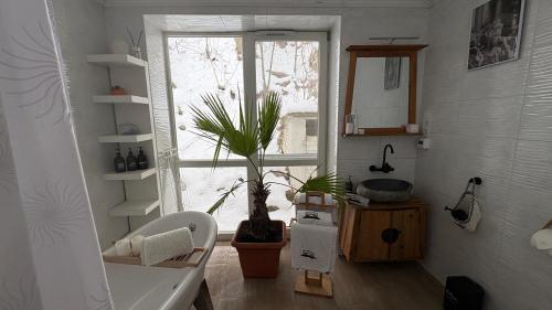 a bathroom with a tub and a potted plant at Manland Vendégház Lillafüred in Lillafüred