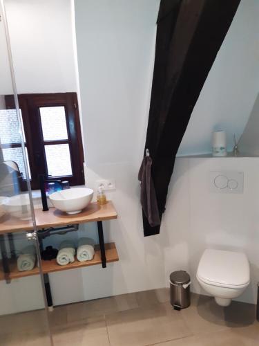 a bathroom with a white toilet and a sink at Het Maelslot (Mechelen) in Mechelen