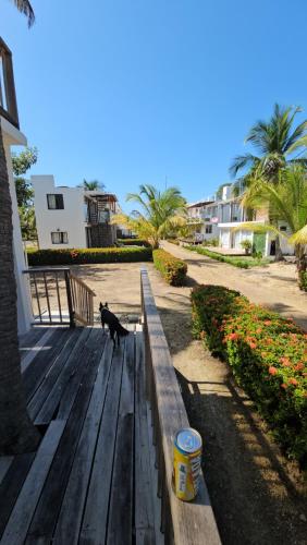 a black cat sitting on a wooden bench at cabañas Brisas y Perla by AMAUNA in Moñitos