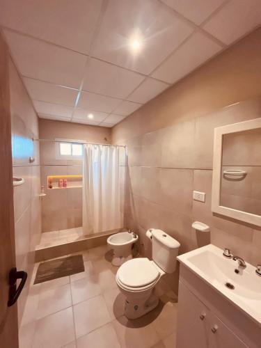 a bathroom with a toilet and a shower and a sink at Apart Los Laureles Dpto 2 in Villa Regina