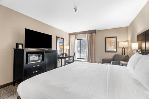 a hotel room with a large bed and a flat screen tv at Best Western Courtview Hotel in Springfield