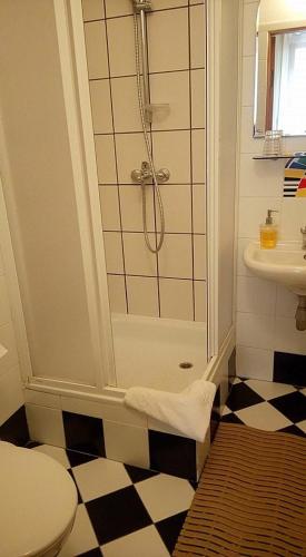 Bilik mandi di Litinterp Host