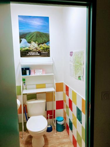 a bathroom with a toilet and a painting on the wall at LES PIPISTRELLES 19 - GITE et Chambre d'hôtes in Meymac