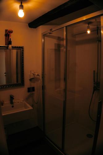 a bathroom with a glass shower and a sink at Sir Thomas Bed Central in Bolzano