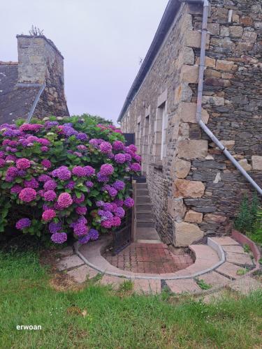 entre Paimpol et Tréguier