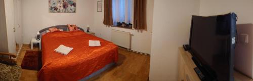 a bedroom with a bed and a flat screen tv at Zukalka 2KK - 1 in Ostrava