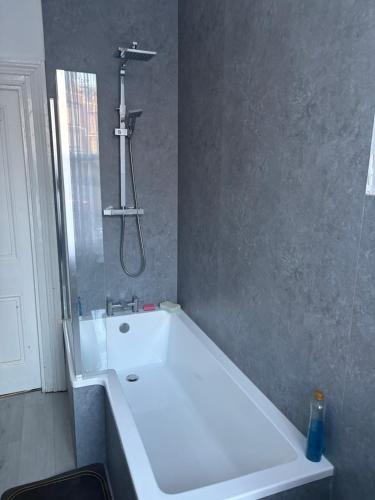 a white bath tub in a bathroom with a shower at Palace in Crystal Palace