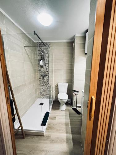 a bathroom with a toilet and a glass shower at Sète Studio Parking Privé Loggia in Sète